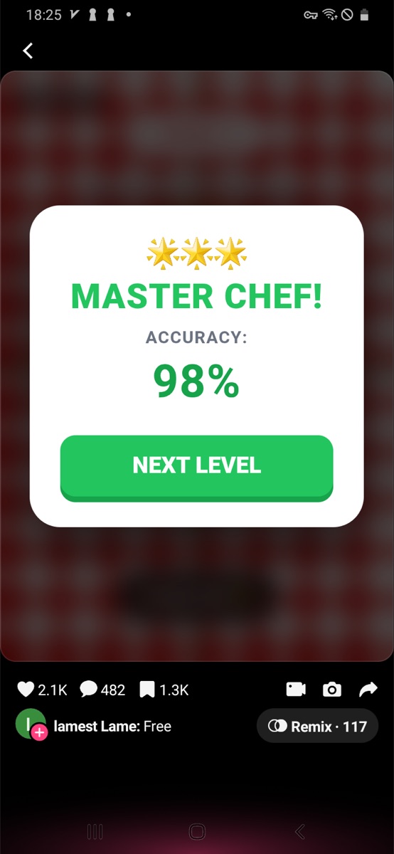 Cut Into Slices level 2 result showing Master Chef and 98 percent accuracy.