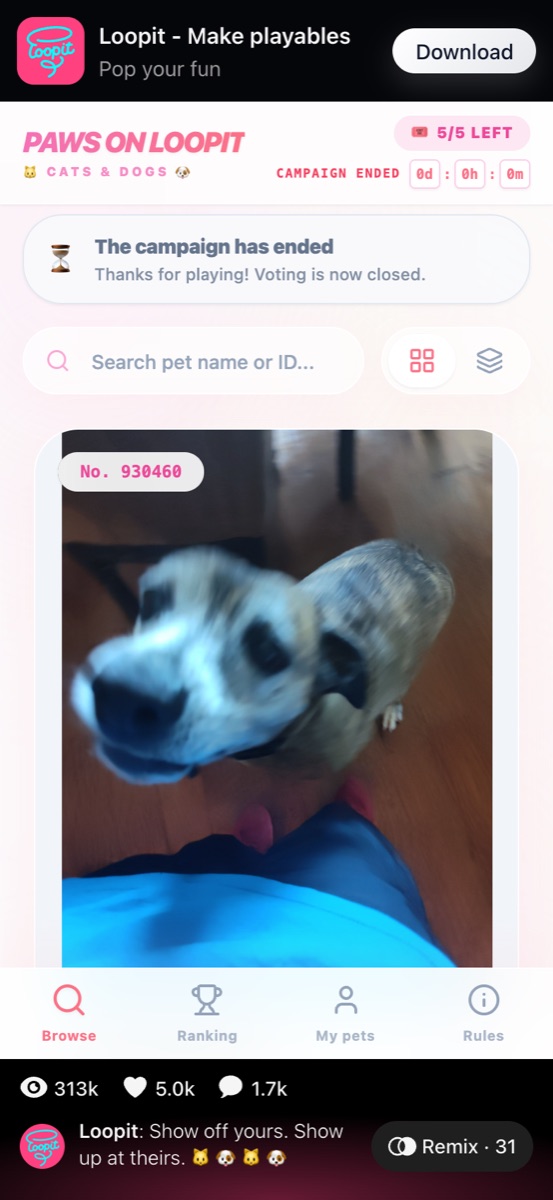 Paws On Loopit screen showing the campaign has ended and voting is closed.