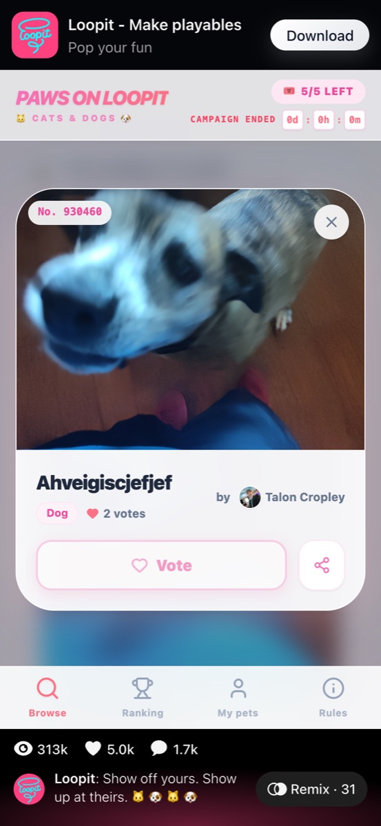 Paws On Loopit browse screen with a public pet card and bottom navigation.