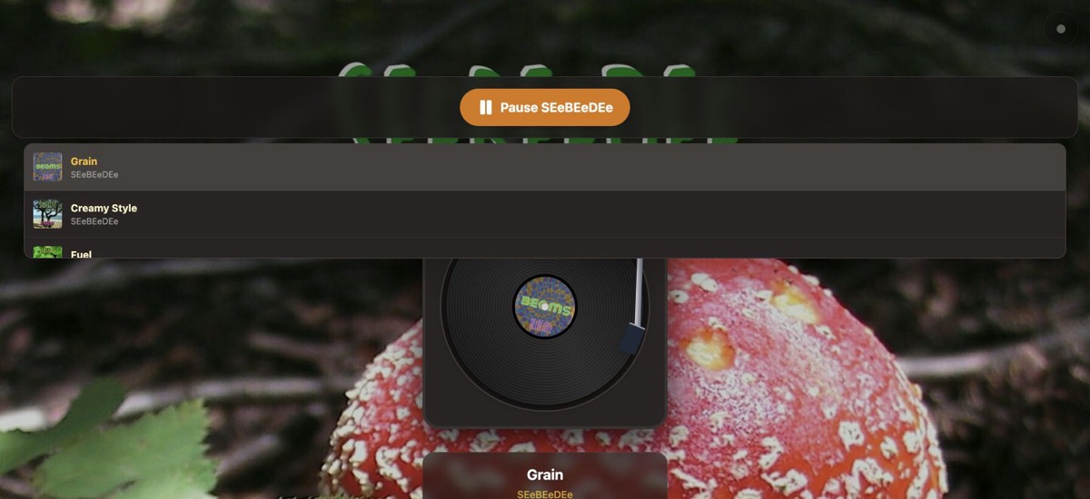 SEeBEeDEe page after toggling the visualizer into a full animated scene.